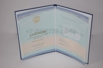 Диплом Техникума 2022г СпецБланк в Рязани